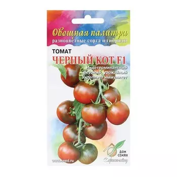Семена Томат "Черный кот", F1, 15 шт