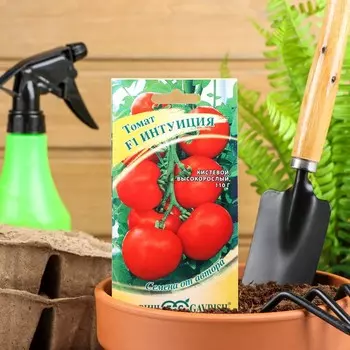 Семена Томат "Интуиция" F1, среднеспелый, индетерминантный,высокорослый,12 шт.