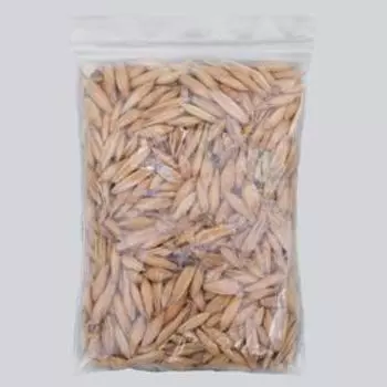 Семена "Травка для проращивания", пакет, 20 г