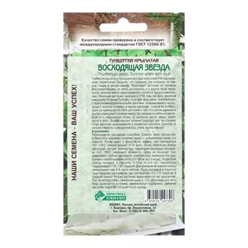 Семена Тунбергия крылатая "Восходящая Звезда", 10 шт