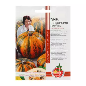 Семена Тыква "Лирика - твердокорая", 5 шт