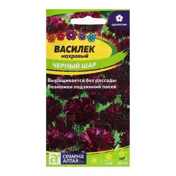 Семена Василек "Черный шар", ц/п, 0,5 гр.