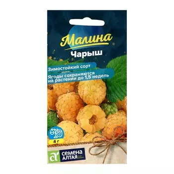 Семена Ягода Малина Чарыш желтая, ц/п, 0,3 г.