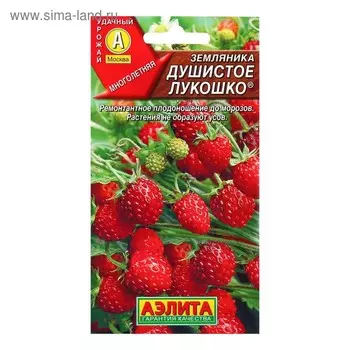 Семена Земляника "Душистое лукошко" альпийская, 0,04 г