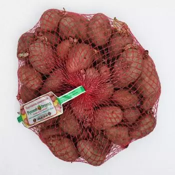 Семенной картофель "Армада" 2 кг Супер Элита, р/р 28/55