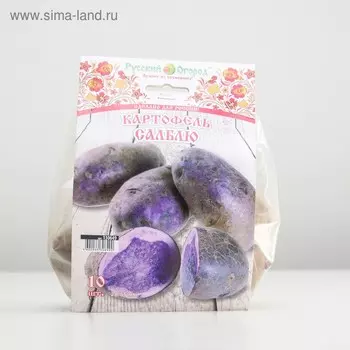 Семенной картофель "Салблю " 10 шт, Супер Элита, р/р 28/55