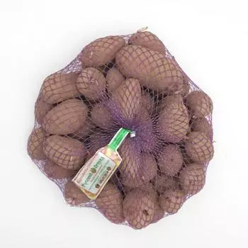 Семенной картофель "Сюрприз" 2кг Супер Элита, р/р 28/55