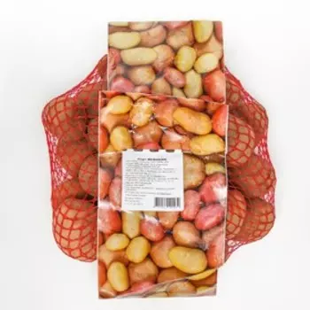 Семенной картофель "Великан" 2 кг Супер Элита, р/р 28/55