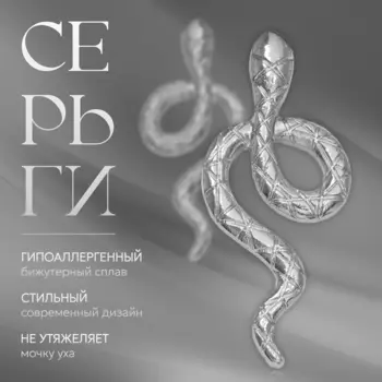 Серьги металл «Змея» с узором, цвет серебро