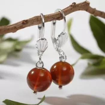 Серьги "Янтарь" шар №10, цвет вишнёвый в серебре