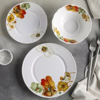 Сервиз столовый Доляна «Радужные маки», 18 предметов: 6 тарелок 17,5 см/23 см/15×5 см