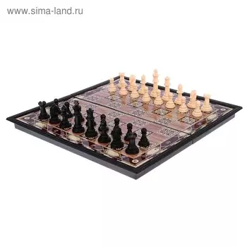 Шахматы, доска 18 х 18 см, клетка 1.7 х 1.7 см