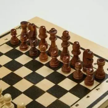 Шахматы походные, лакированные, 25.4 х 15.5 х 1.8 см