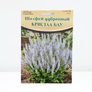 Шалфей "Crystal Blue® PBR", р-р I, 1 шт, Весна 2024