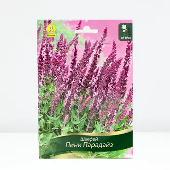 Шалфей Пинк Парадайз, 1 шт, Весна 2024
