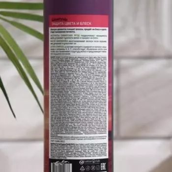 Шампунь для окрашенных волос ORGANIC COLLECTION, защита цвета и блеск, 400 мл