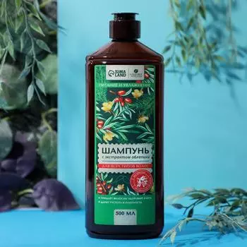 Шампунь для волос с экстрактом облепихи, 500 мл, КЛАДОВАЯ КРАСОТЫ