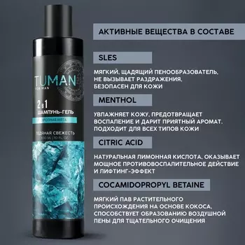 Шампунь мужской 2в1, 300 мл, аромат мяты, URAL LAB