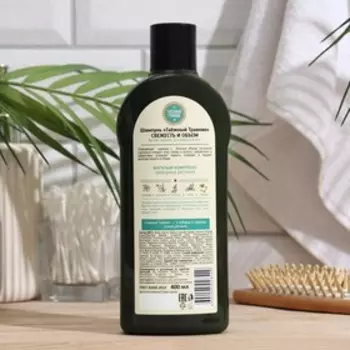 Шампунь "Таежный Травник", "Свежесть и объем", против перхоти для жирных волос, 400 мл