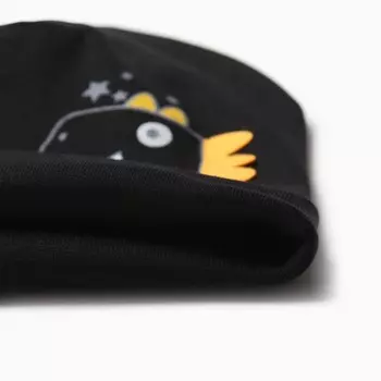 Шапка детская, цвет черный, размер 46-48