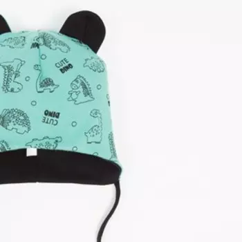 Шапка для мальчика DINO, цвет зелёный, размер 47-50 (1,5-3 лет)