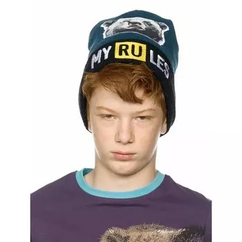 Шапка для мальчиков, размер 52-53, цвет синий