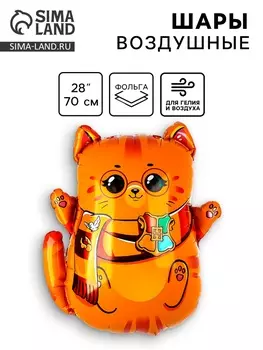 Воздушный шар фольгированный 28" «Котик-волшебник», фигура