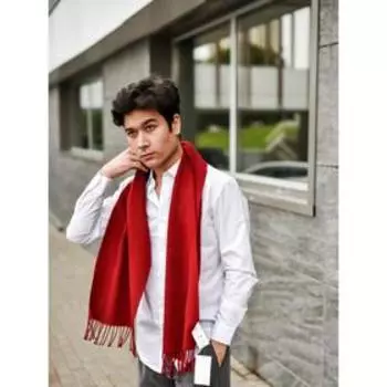 Шарф мужской, размер 32х160 см, цвет бордовый