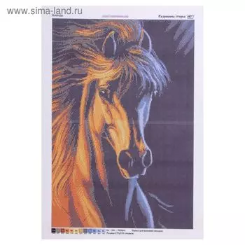 Схема для бисера и креста на габардине «Лошадь»