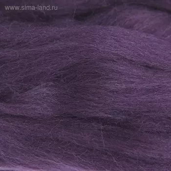 Шерсть для валяния 100% тонкая шерсть 50гр (484 баклажан)