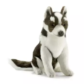 Щенок Хаски, 25 см