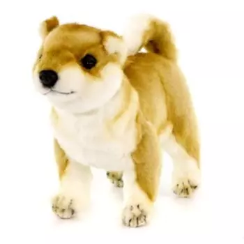 Щенок Сиба-ину, 30 см