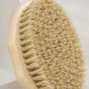 Щётка для обуви Доляна, без ручки, натуральная щетина, 156 пучков