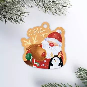 Шильдик новогодний на подарок «Друзья», 5.5 х 5.5 см