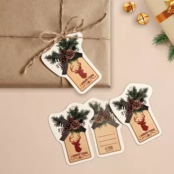 Шильдик на подарок Новый год «Шишка», 6.5 х 8.5 см