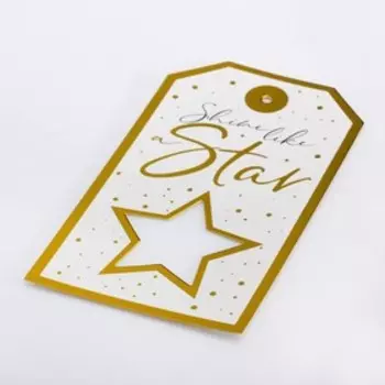 Шильдик «Звезда», 10,5 х 19 см