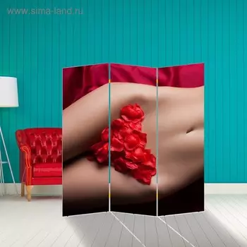 Ширма "Интрига", 150 х 160 см