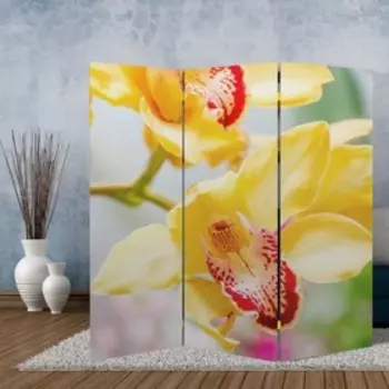 Ширма "Орхидеи", 150 х 160 см