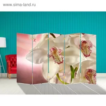 Ширма "Орхидея. Айвори", 250 х 160 см