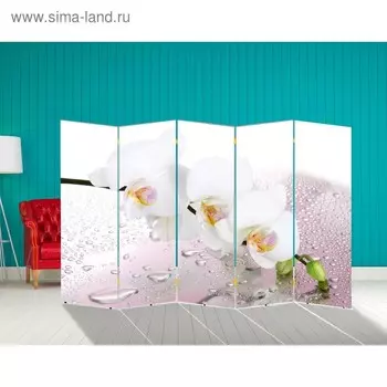 Ширма "Орхидея и капли воды", 250 х 160 см