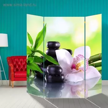 Ширма "Орхидея с бамбуком", 160 160 см