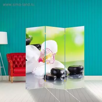 Ширма "Орхидея с камнями", 150 х 160 см