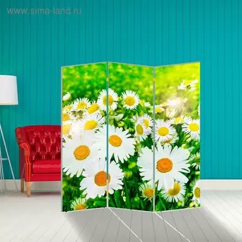 Ширма "Ромашки", 150 х 160 см