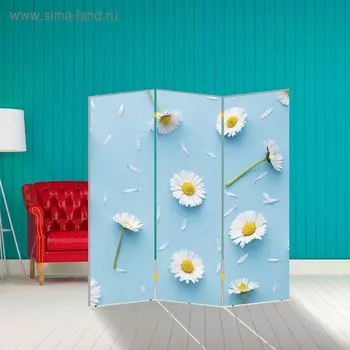 Ширма "Ромашки. декор 11", 150 х 160 см