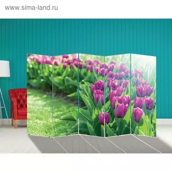 Ширма "Тюльпаны. декор 12", 250 х 160 см