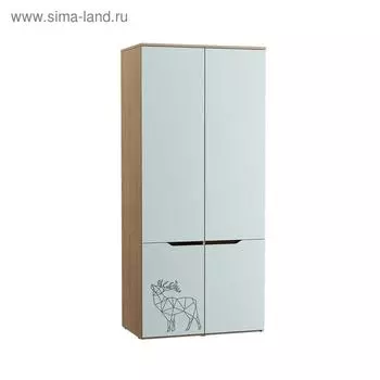 Шкаф для одежды Гудвин 13.132, 900х543х2004, Гикори рокфорд/Мята