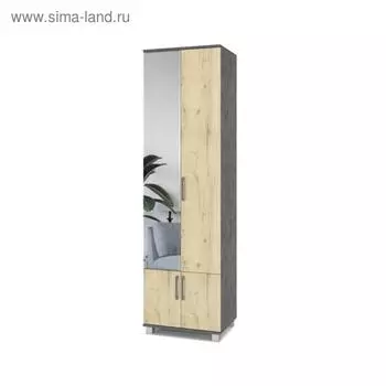 Шкаф двустворчатый с зеркалом Карина К22 600x420x2100 Камень темный/дуб ирландский