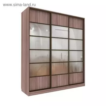 Шкаф-купе Добротный 3 зеркала+ЛДСП Ясень Шимо Темный