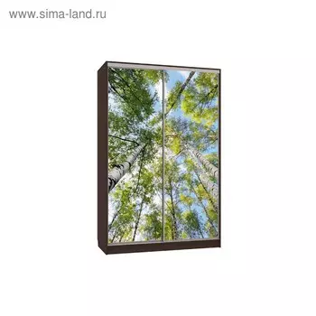 Шкаф-купе "Гранд 7-600 57", 1500x600x2300, Венге