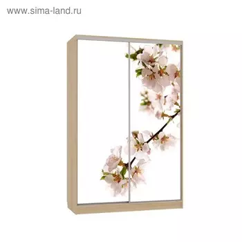 Шкаф-купе "Гранд 7-600 яблоня", 1500x600x2300, Дуб сонома